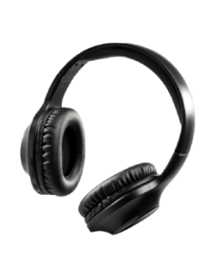 Earphones