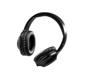 Earphones